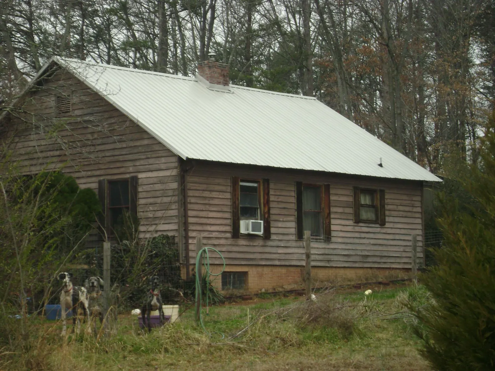 White metal roof on an old wood sided farmhouse, from a Asphalt Shingle Roof Repair job in Saint Helena